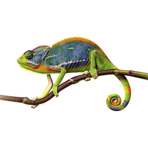 13cm x 6.7cm for Green Chameleon Car Stickers Vinyl Decoration Waterproof Personality Window Trunk Decal for VAN SUV