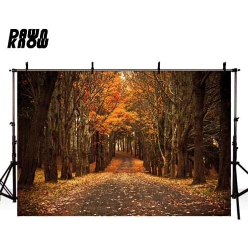 DAWNKNOW Fallen Leaves Photography Background Forest Leaf Photo Shoot Backdrops Wedding Children Photocall Photo Studio lv1689