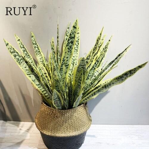 Simulation Tiger Piran Succulent Green Plants Plastic Flowers Family Window Sill Layout Photography Stage Background Decoration