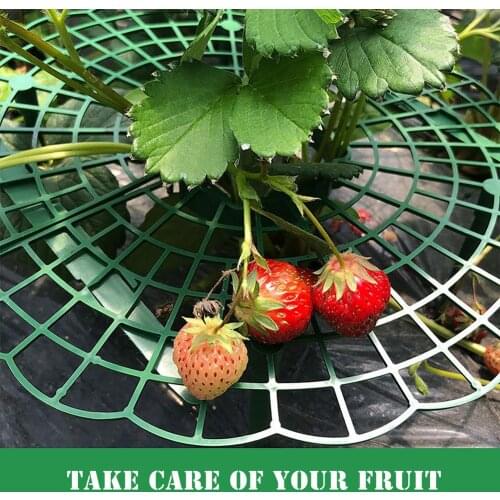 3pcs Strawberry Stand Plant Support Frame Holder Balcony Planting Fruit Support Balcony Planting Rack Climbing Vine Pillar New