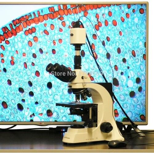 Clinic Hospital-Amscope Supplies 40X-2500X Plan Infinity Laboratory Trinocular Compound Microscope & 1920x1080 HDMI Camera