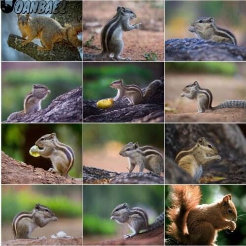 Forest Squirrel Diamond Painting 5Ddiy Cross Stitch Patch Diamond Embroidery Mosaic Room Home Decoration Holiday Gift