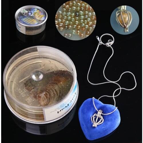 Natural Oyster Wish Freshwater Pearl Necklace Pendant Set Women Fashion Jewelry Gift