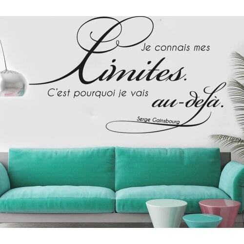 Viny Je Connais Me Limites C'est Pourquoi Vais French Quotes Wall Stickers Butterfly Decals For Home Decor Wallpaper RU2037