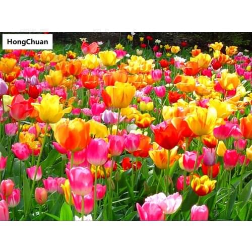 Beautiful flowers 5D DIY full diamond round/square cartoon diamond embroidery mosaic cross stitch diamond painting muralNew Year