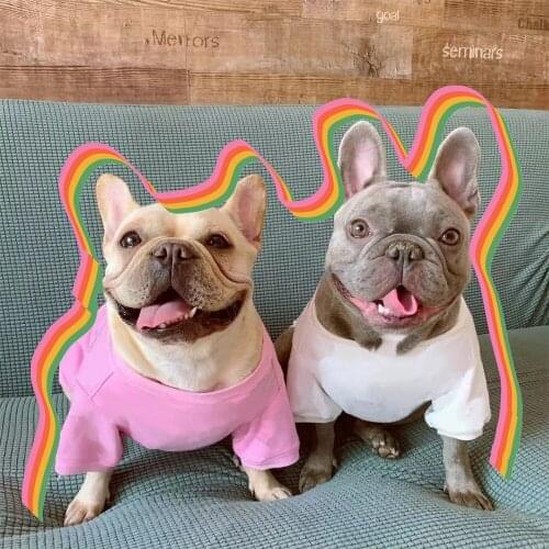 Spring Autumn Pet Dog Clothes for Small Dogs Clothing French Bulldog Cotton Sweater Dog Accessories Chihuahua Coat XS-2XL PC1502