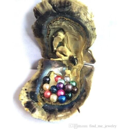15 Colored Round Pearls in Saltwater Oysters,Akoya Mini Monster Oysters with 15 Pearls inside Random Mix Colors Xmas Gift ABH903