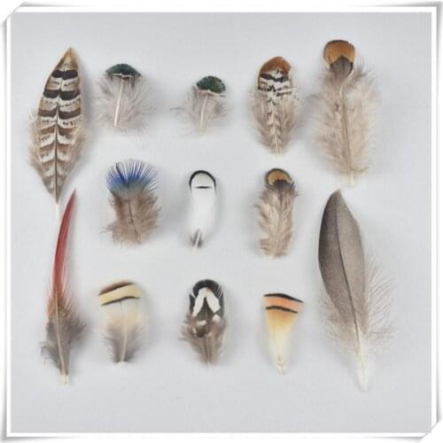 Beautiful Natural Pheasant Duck Feathers 20pcs/lot 3-15cm DIY Wedding Decorative party Plumes and Stage tool Feathers for crafts