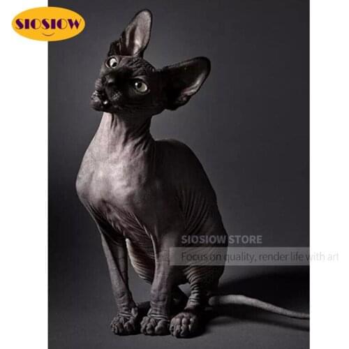 5d Diy Diamond Embroidery Cat Sphynx Pictures Mosaic Cross Stitch Crystal Diamond Art Painting Cats Animal Rhinestone Full Round