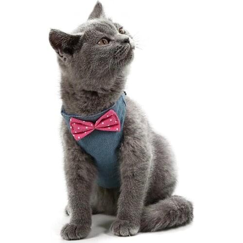 Cat Costume Suit Kitten Puppy Cat Walking Leash Harness Set Hand Grip Straps Traction Belt for Outside Travel Pet Accessories