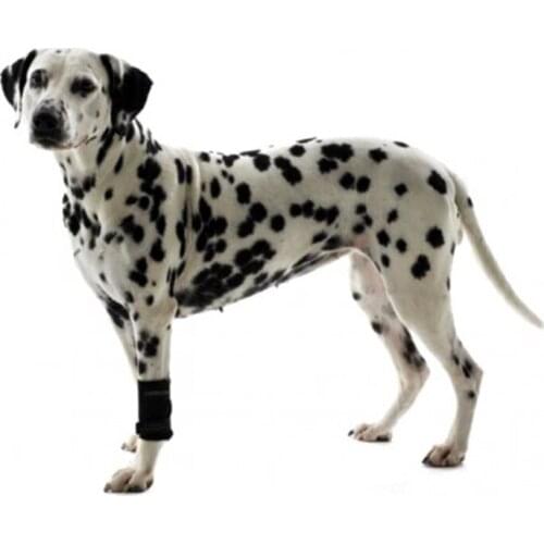 Аксессуары для собак Kruuse China At AliExpress