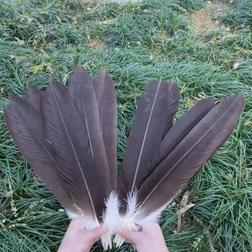 10pcs rare natural eagle feathers 40-45 cm 16-18 inches celebration decoration