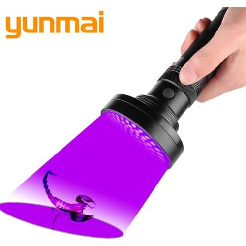 Uv 395 Led Flashlight Torch Lamp Light Lanterna AA Battery Single File Switch Aluminum Alloy Working Catch Scorpion & Sterilize