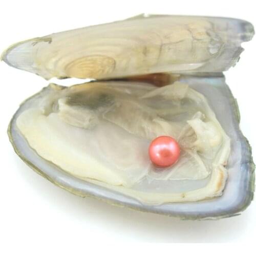 New Loose beads 25colors Natural Freshwater Pearls One Pearl Beads in One Pearl Oysters Birthday Jewelry Women Gifts EE054