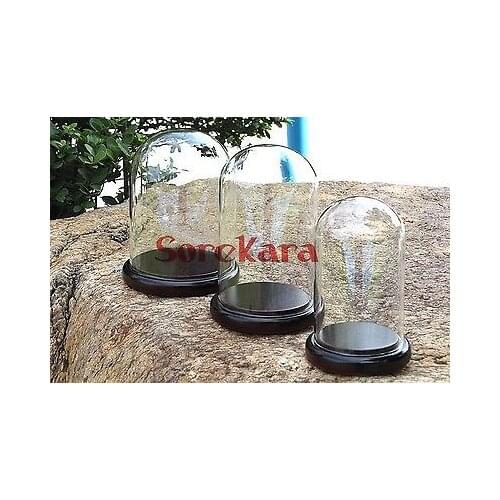 100x250mm Vintage Glass Dome Bell Jar With Dark Wooden Base Window Display