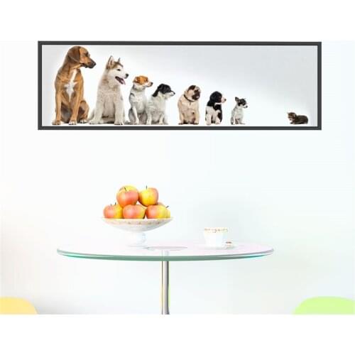 Funny Dogs Cat Pvc Photo Frame Wall Art Sticker For Office Home Decorations Animal Vivid 3d Puppy Kids Room Creative Wall Decals