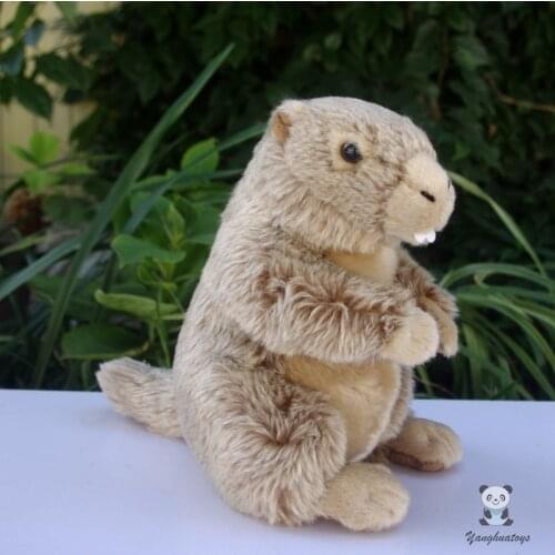 Real life plush Marmot dolls toy soft children birthday gifts nice Groundhog doll toy love wild animals