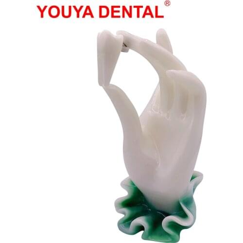 Dentistry Decoration Dentist Gifts Dental Figurines Tooth Jewelry Hand Sculpture Clinic Desktop Showcase Ornament Furnishings