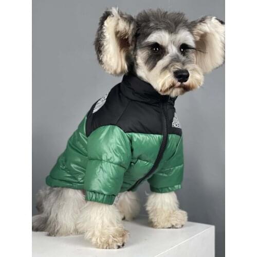 Warm Thick Web Celebrity Teddy Schnauzer Corgi Matching Pet Down Jacket Hot Winter Clothing For Dog Cat Clothes Puppy Pug Jacket
