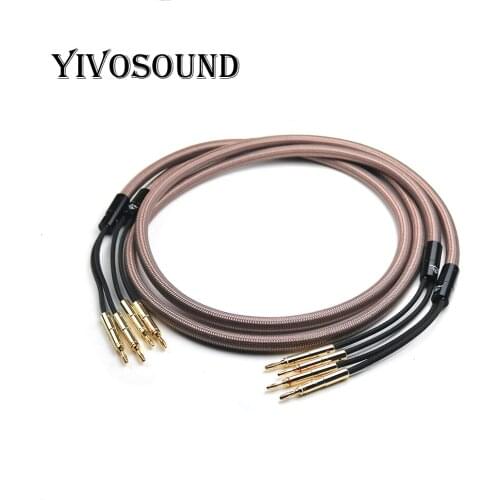 1 pairs 40th anniversary speaker cable hifi Pure copper plating Banana Plug speaker wire