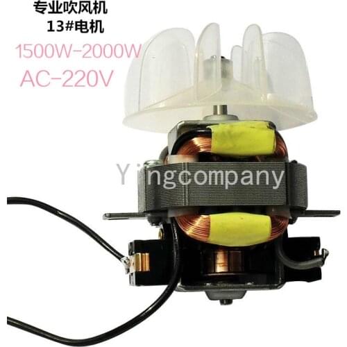 High-power hair dryer motor hair dryer AC motor with fan blade 13# motor hair dryer parts