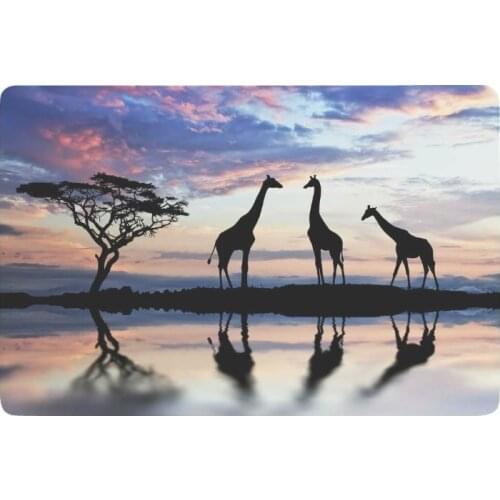 Nature Anti-slip Door Mat Home Decor, Animal Giraffes at Sunset Indoor Outdoor Entrance Doormat Rubber Backing