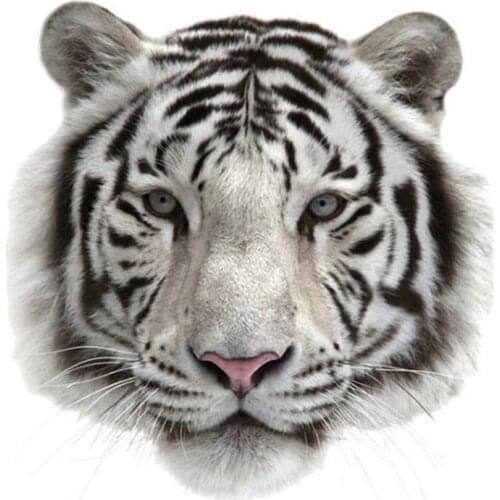 Street Icon Women Men Clothes 238mm Tiger head Iron on transfer Printing Patches for clothing T-shirt Patch Diy 3D Stickers