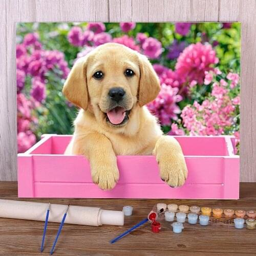 Animal Dog Coloring By Numbers Painting Set Oil Paints 50*70 Canvas Painting Loft Wall Picture For Handiwork