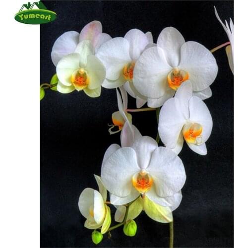 Yumeart 5D DIY Diamond Painting Flower Diamant Painting Cross Stitch Orchid Floral Diamond Art Drill Rhinestone Home Decoration