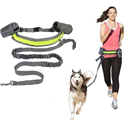 Pet Sports Kit Cat Dog Hands Free Nylon Elastic Dog Leash Lead Strap Rope Waist Belt Pet Products
