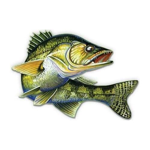 Walleye - 16" - Large Size Vinyl Sticker - for Truck Car Cornhole Board