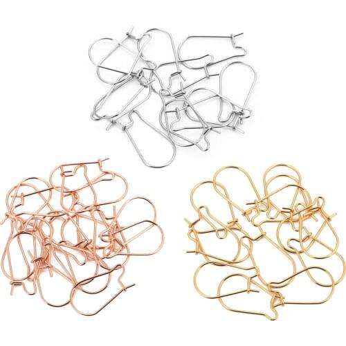 20Pcs/lot 316L Stainless Steel Rose Gold Silver Tone Hypoallergenic Kidney Ear Wire Hooks for DIY Earring Jewelry Findings
