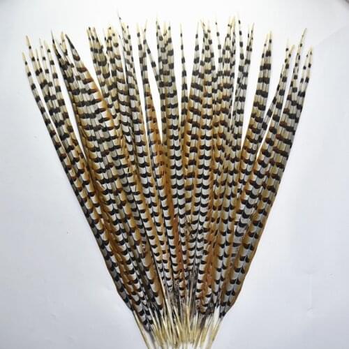 4-72inch/10-180CM Natural Rare Pheasant Tail Feathers for Crafts Wedding Decorations Reeves Venery Pheasant Tail Feathers Plumas