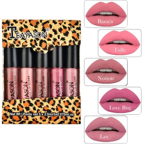 5Pc/Set Lip Gloss Multicolor Easy to Wear Soft Hydrate Liquid Matte Lipstick Makeup Set Waterproof Long-lasting Not Smudge TSLM2