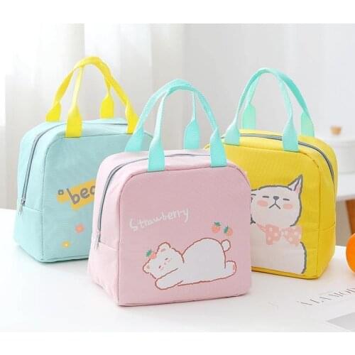 New Cartoon Insulated Lunch Bag Zipper Lunch Bag Bag Aluminum Film Thickened Large Capacity Portable Lunch Box Bag