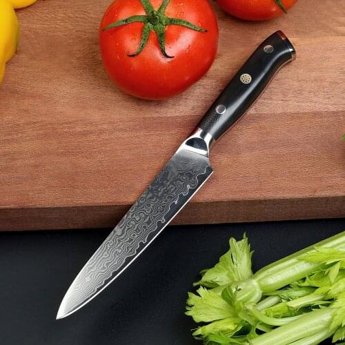 5" inch Professional Utility Kitchen Knife Japanese VG10 Steel Razor Sharp Blade G10 Handle Damascus Knives Gift