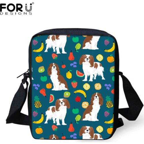 FORUDESIGNS Small Portfolios