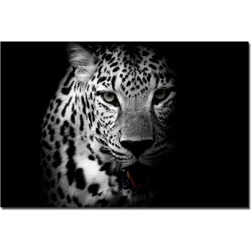5D Diy Diamond Painting Black And White Animal Art Leopard Diamond Embroidery Round Cross Stitch Kits Mosaic EmbroideryZP-4164