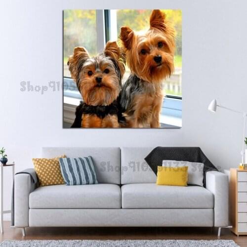 Square Round Drill 5D DIY Diamond Painting dog Yorkshire Terrier Embroidery Cross Stitch Full Rhinestone Decor GG4314