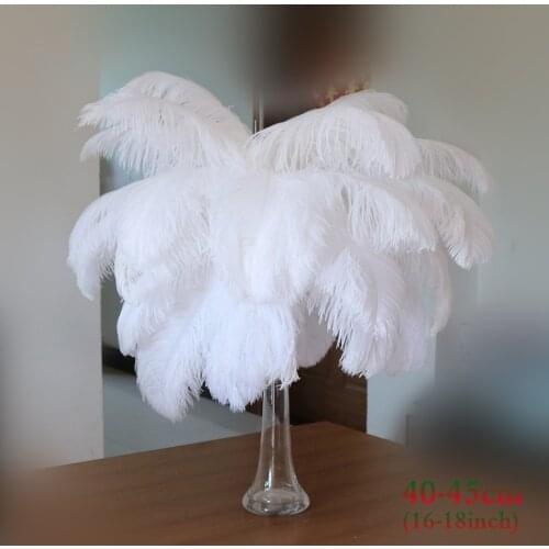 Multi-size Natural Ostrich Feathers 15-75cm White Feather Decoration Wedding DIY Plumage Decorative Celebration Fluffy Plumes