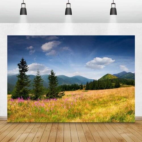 Autumn Nature Scenery Landscape Sky Cloud Forests Flowers Mountain Grass Photo Background Photo Backdrop Photocall Photo Studio
