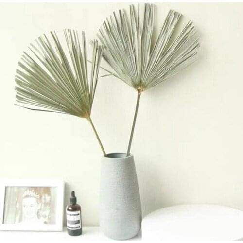 1PC Palm Fan Leaf Dried Flower Palm Leaf Window Reception Party Art Wall Hanging Decoration Wedding Arch Arrangement