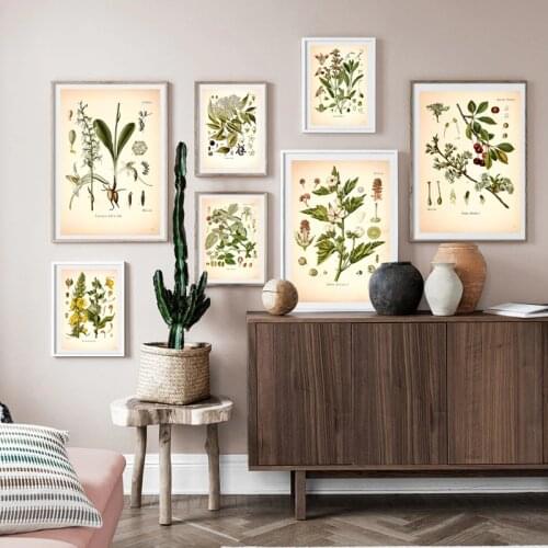 Antique Medicinal Plants Posters and Prints Kitchen Wall Art Pictures Botanical Vintage Canvas Painting for Living Room Decor