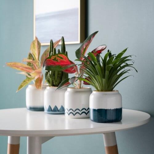 Small Hand-painted Flower Plant Pots Decorative Living Room Table Ceramic Vases for Decoration