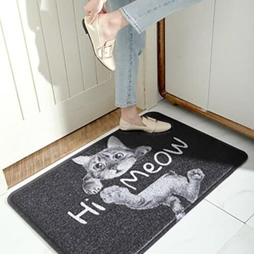 Loop Carpet Floor Mats Doormats Carpets Alfombra Salón Tapis Tapijt Badmat Deurmat Kleed Schapenvacht dywan dla dzieci ковер Cat