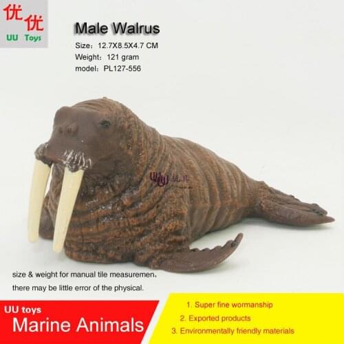 Hot toys male Walrus Simulation model Marine Animals Sea Animal kids gift educational props (Rhincodon typus) Action Figures