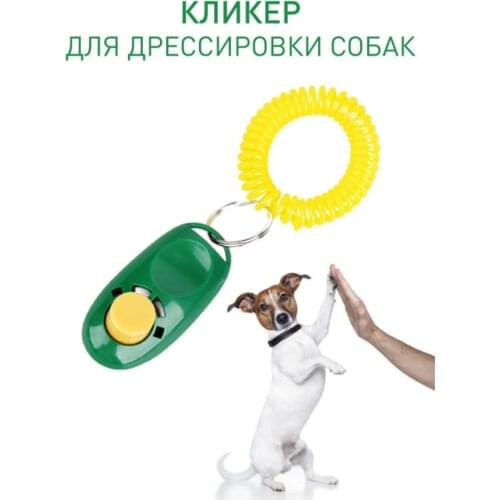 KD Pet Supplies