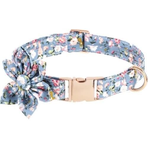 HiMISS Collars