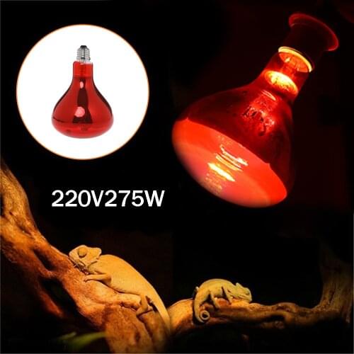 Pecute Terrarium Lamps