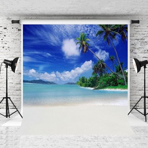 VinylBDS 10x10ft Seaside Beach Photo Background Studio Prop Coastal Skyline3D Baby Photography Backdrop Beach Background LK 1896